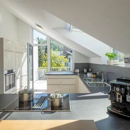 Loft Mit Viel Freiraum Im Modernem Ambiente Bodman-Ludwigshafen